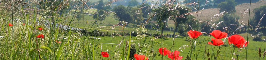 Sitelle conseil en développement territorial exemples de missions projet de territoire